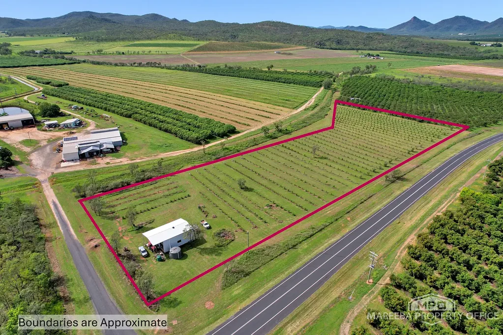 221 Burke Developmental Road, Dimbulah, QLD 4872
