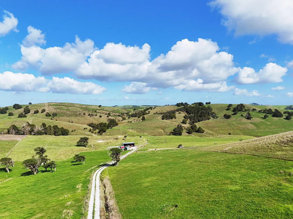 Ruawai  Peaceful Country Living