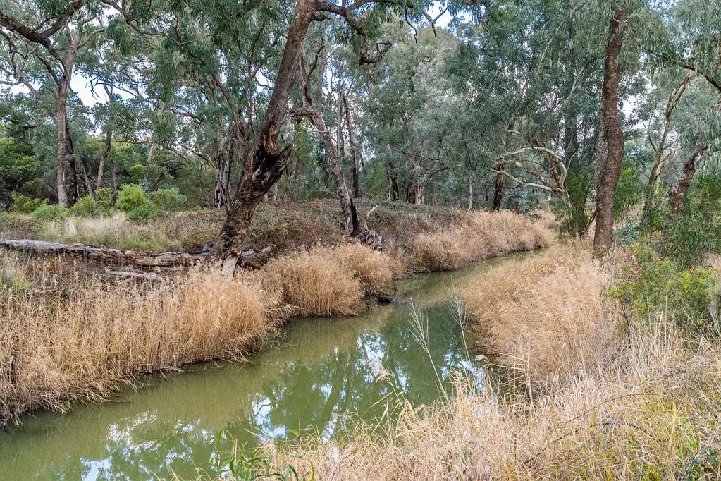 1460 Baldry Road, Baldry, NSW 2867