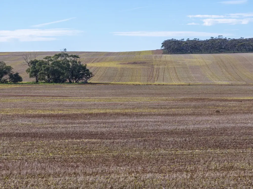 Neales Flat Scale Up in Proven Farming Country