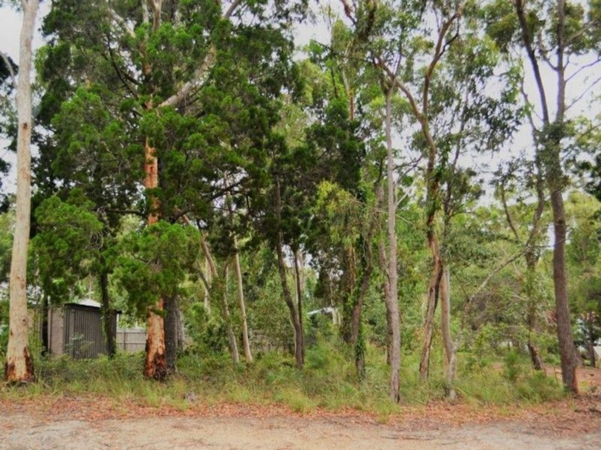 17 MORWONG ST, MACLEAY ISLAND QLD 4184, 0部屋, 0バスルーム, Section