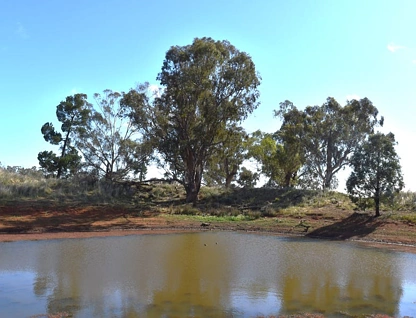 "Landsdowne" 3291 Wirrinya Road, Forbes, Central Tablelands, 0 Bedrooms, 0 Bathrooms, Lifestyle Property