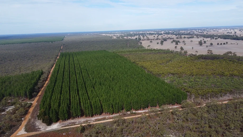 Edenhope  $415,000 - Mixed Forestry and Picturesque Native Vegetation