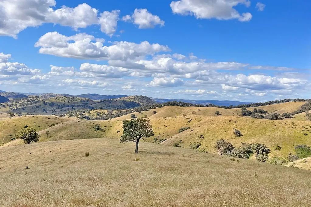 Wyangala 38ACRE* LIFESTYLE RURAL ESCAPE WITH CREEK FRONTAGE! Camping / fishing / Hunting