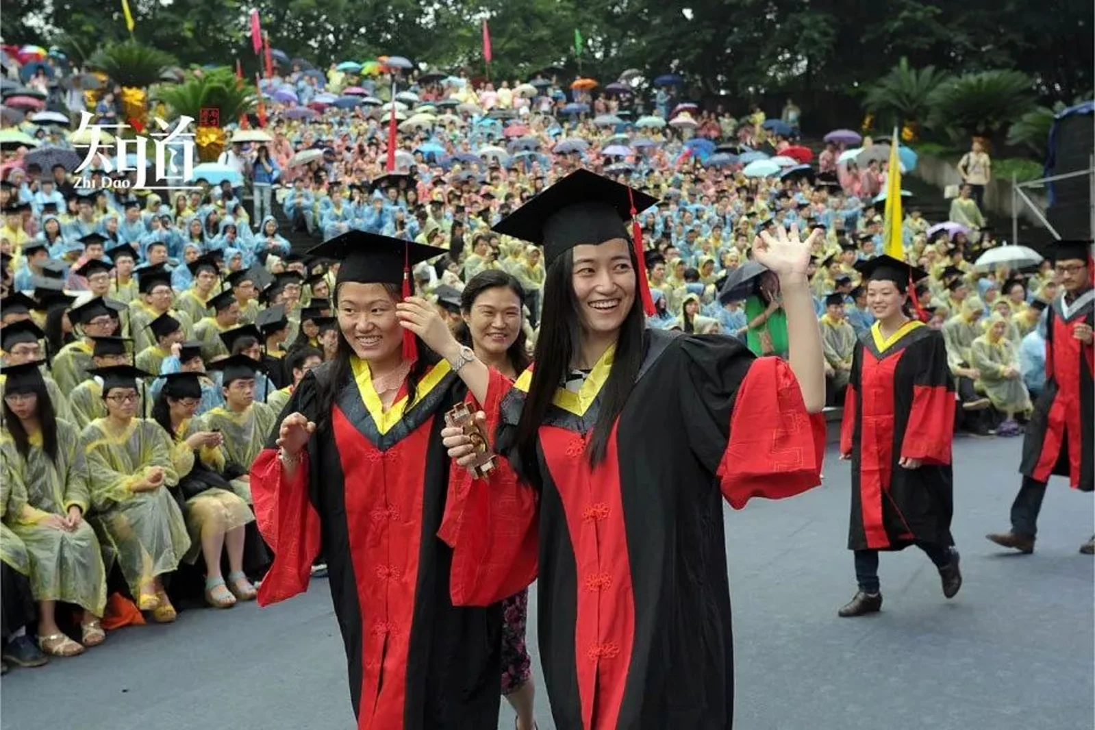 比博士更难读的学位是:中国女博士