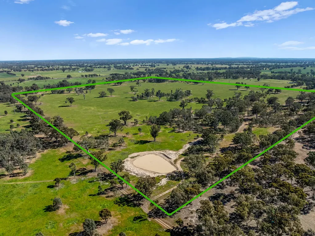 Balmattum "The Wire Paddock" - Quality Grazing Land with the Beauty of Balmattum Hills
