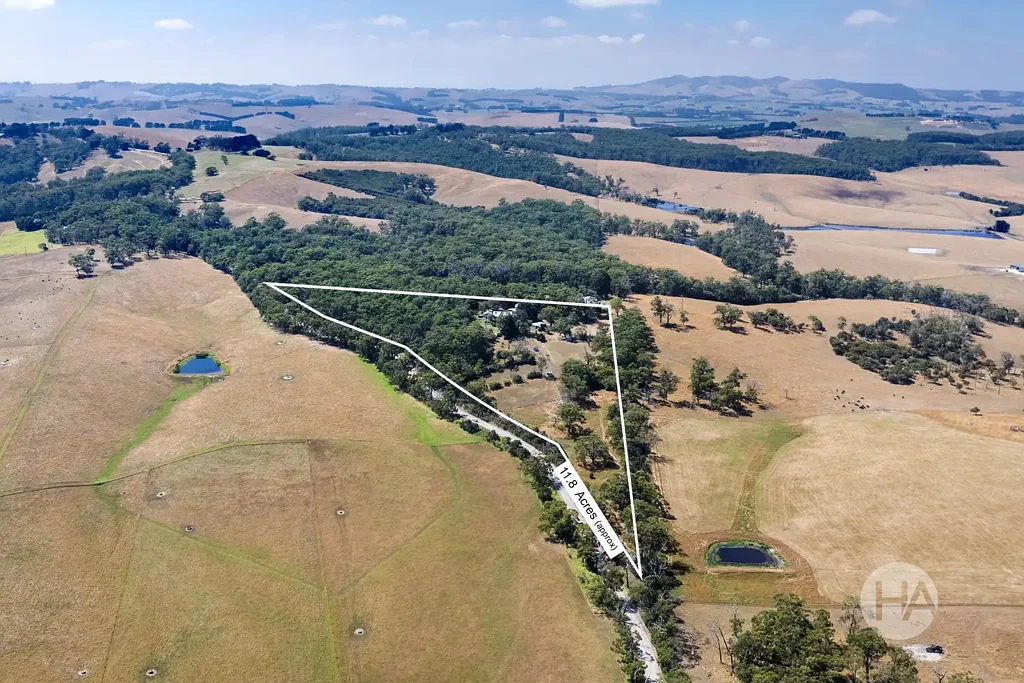 Buffalo  Natures Charm with Modern Comfort on 11.71 Acres.