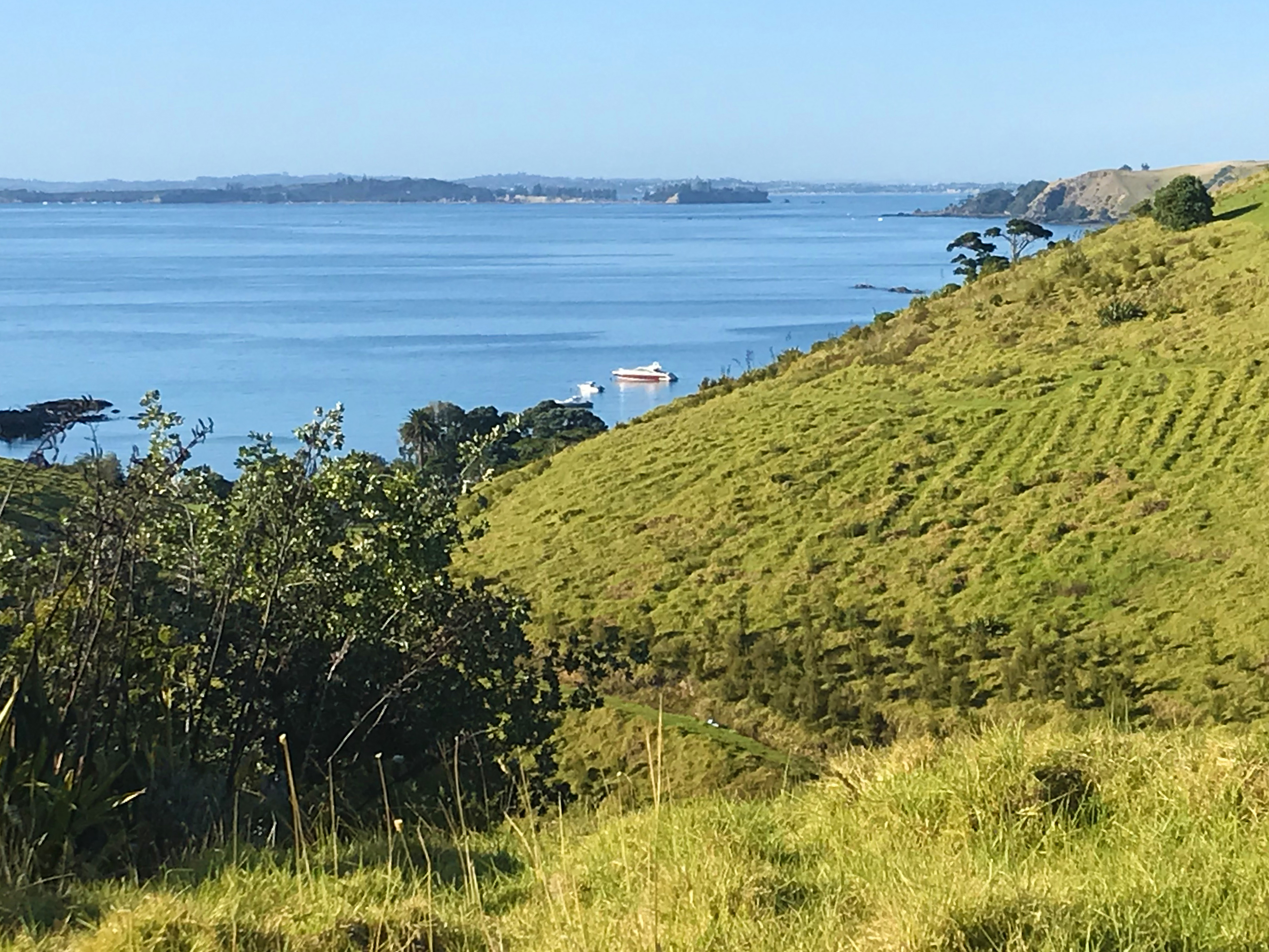 Hauraki Gulf Islands