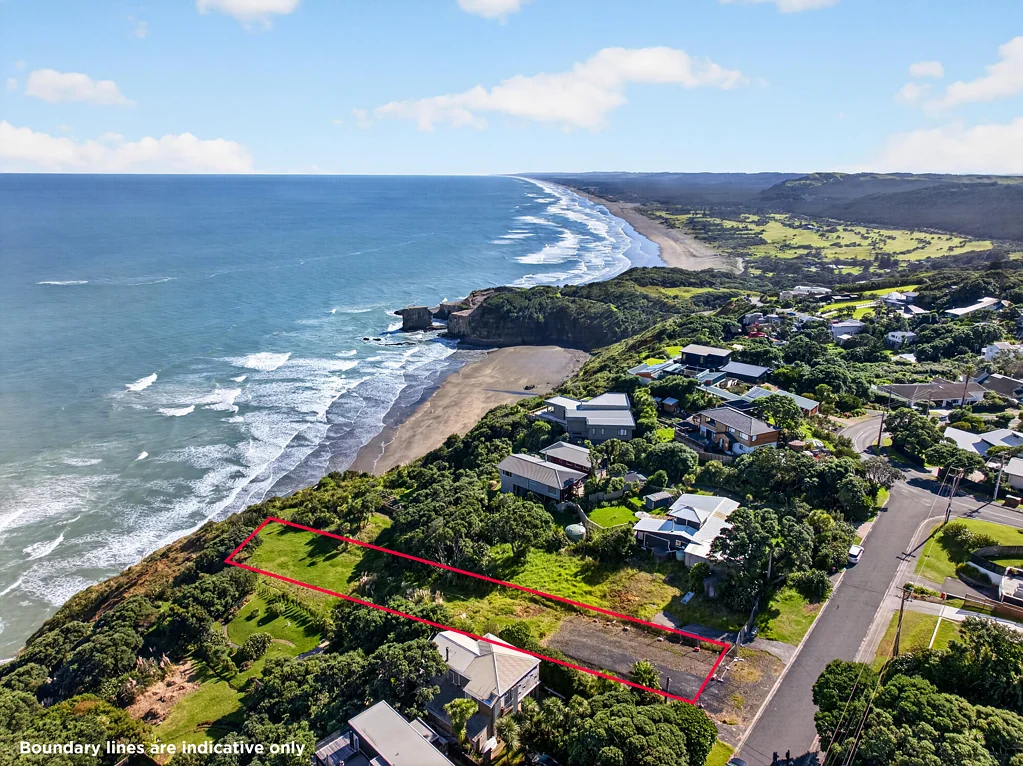 Muriwai  Sea-sational section