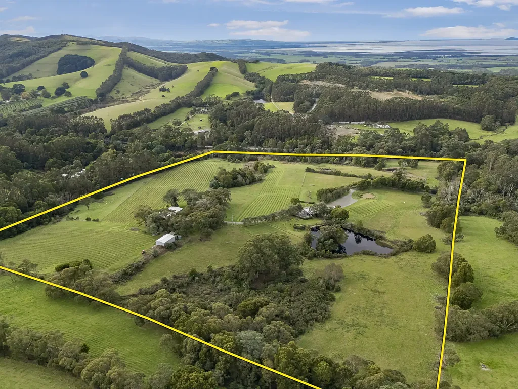 Fish Creek "Waratah Hills Vineyard" - Fully developed WIWO opportunity with income!