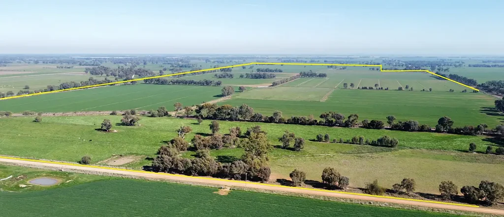 Kotta ECHUCA - Irrigation Farm