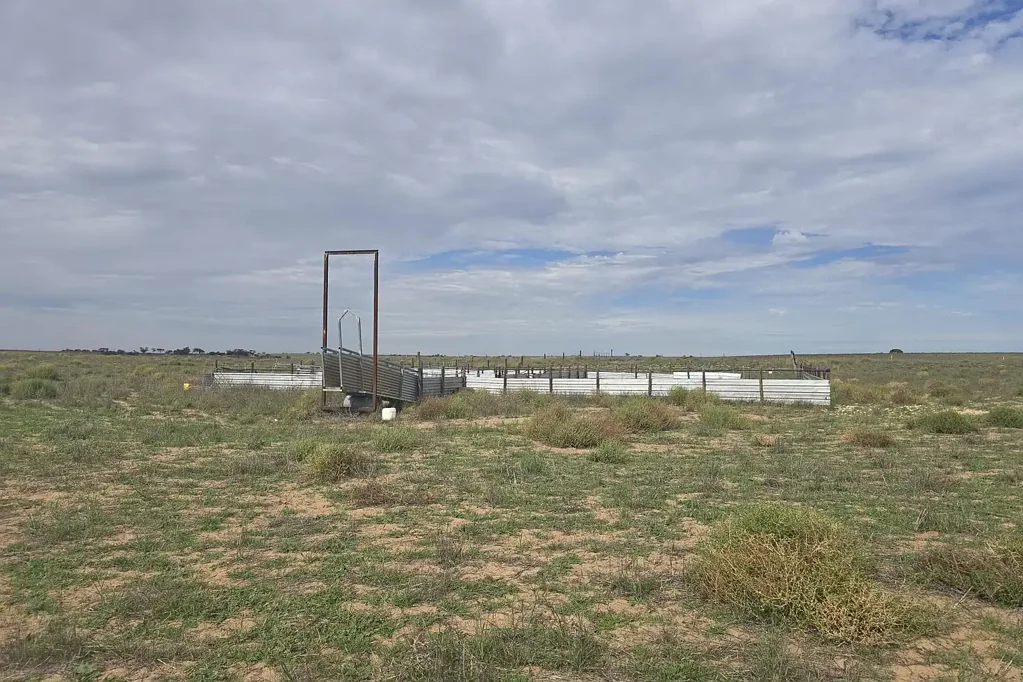 Wynarka  Cropping & Grazing Block