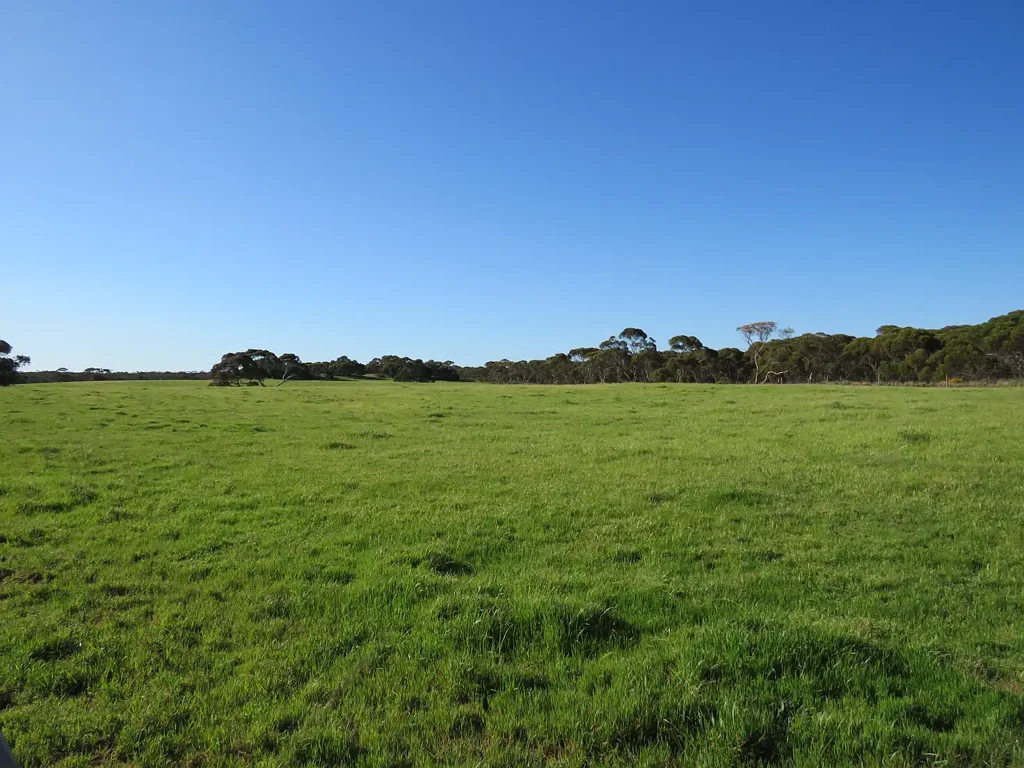 1467 Dark Island Well Road, Keith, SA 5267