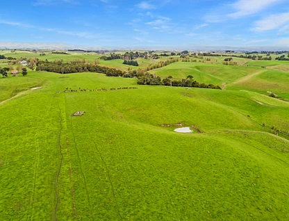 Lethbridge Road, Feilding, Manawatu, 0部屋, 0バスルーム, Unspecified