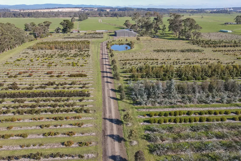 Tyers 1房  Agriculture | Floriculture | Horticulture opportunity