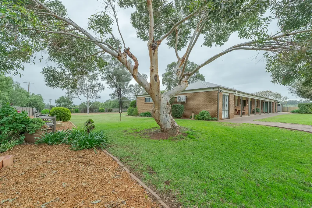 Dubbo 5房  Spacious Rural Lifestyle Property Only Minutes From Dubbo