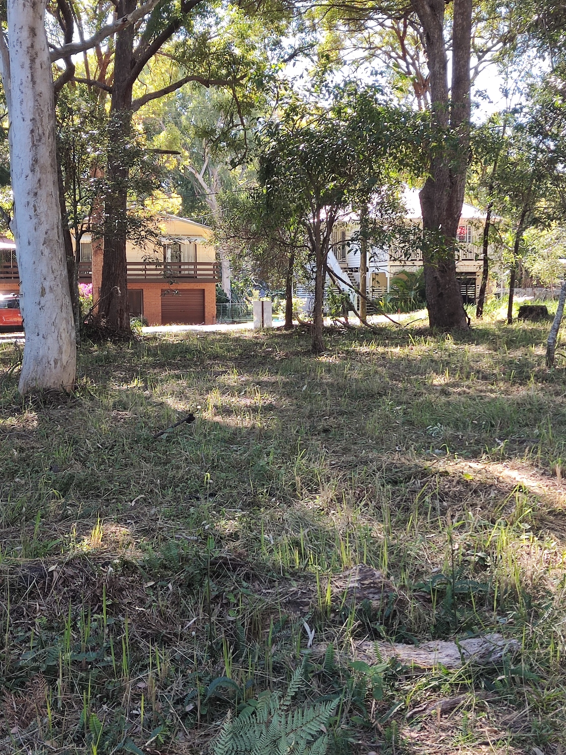 22 NOON MUCKLE ST, MACLEAY ISLAND QLD 4184, 0 Kuwarto, 0 Banyo, Section