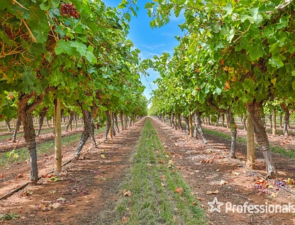 83a Belar Avenue Extension, Irymple, Vic Country , 0 રૂમ, 0 બાથરૂમ, Lifestyle Property