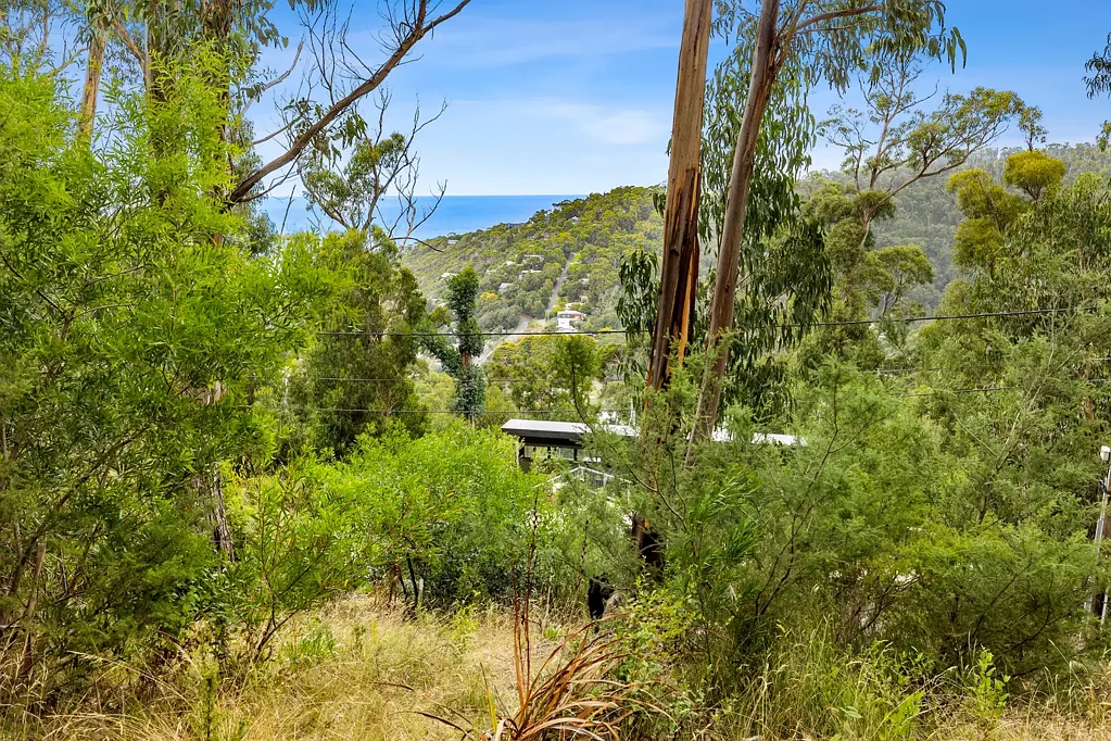 Wye River  OCEAN VIEWS IN A BUSH SETTING!