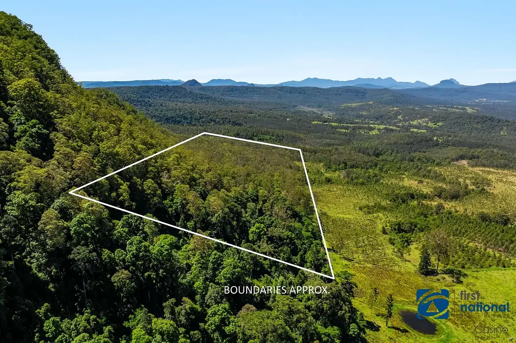 Lot 49 Joes Box Road, Yabbra, NSW 2469