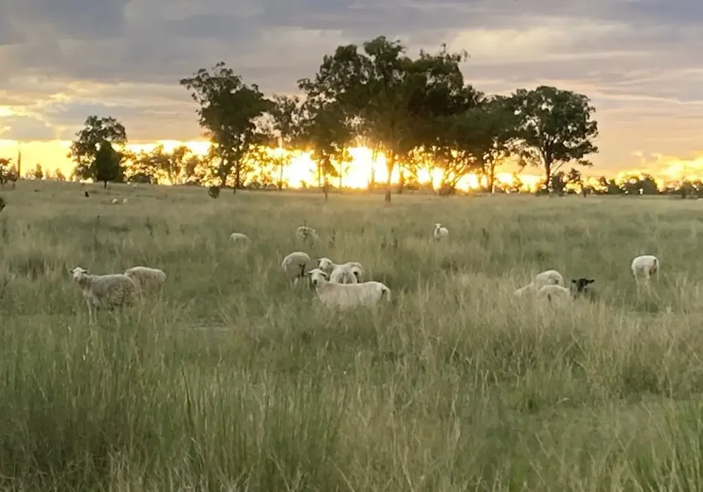 Greenup "HOMEBUSH" - peaceful rural lifestyle retreat with room to move & explore