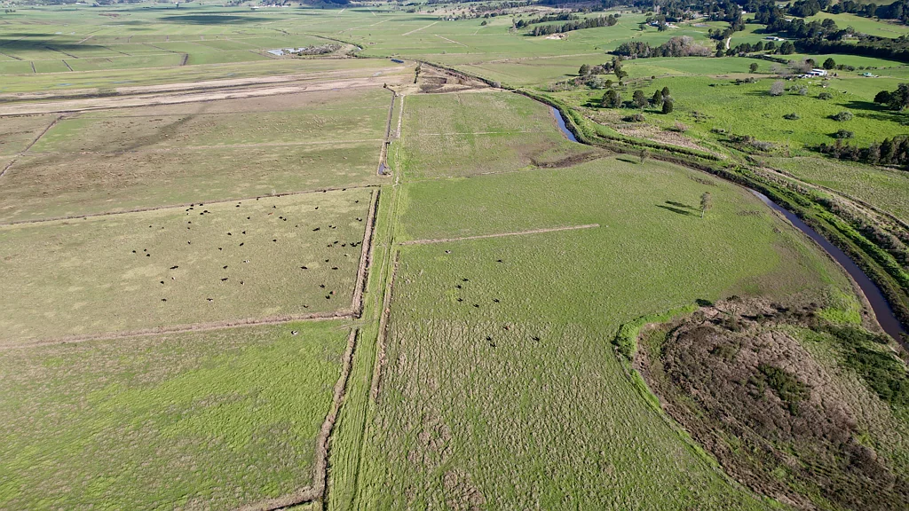 Ruatangata  Productive land in prime Matarau location - 60 ha