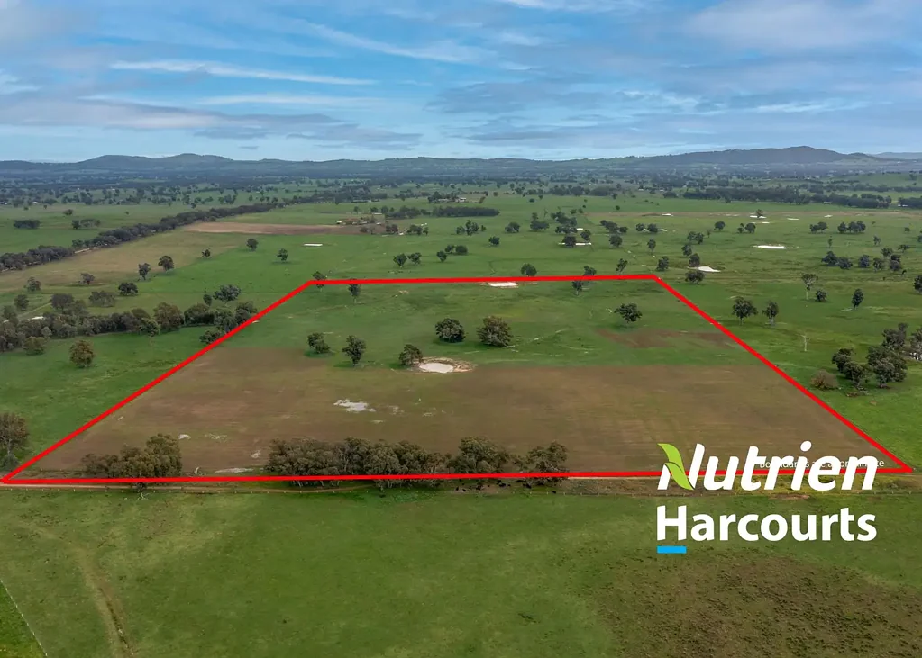 Greta  Superb Farming Opportunity
