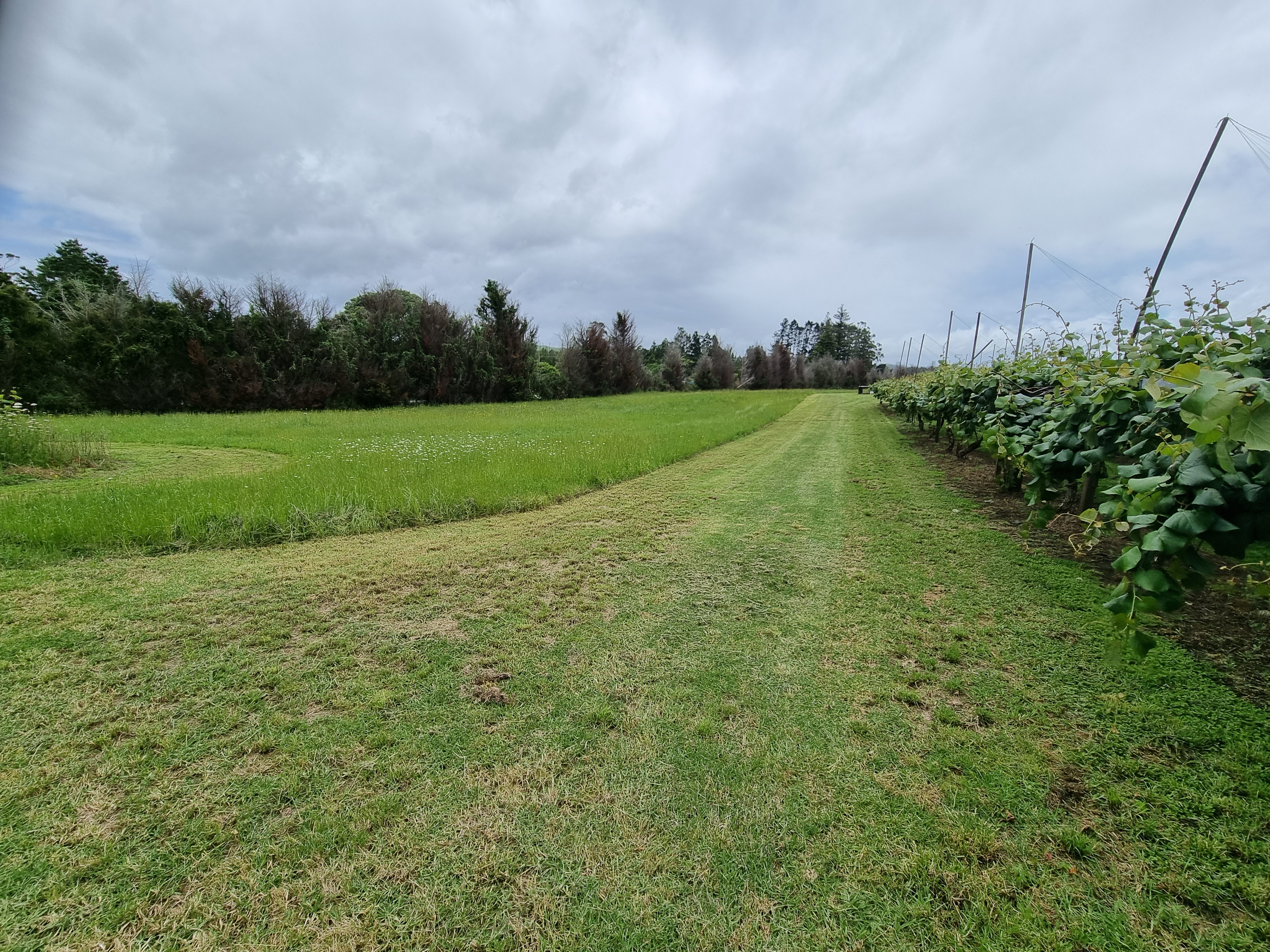 1659 State Highway 10, Kerikeri, Far North, 4房, 1浴, Horticulture