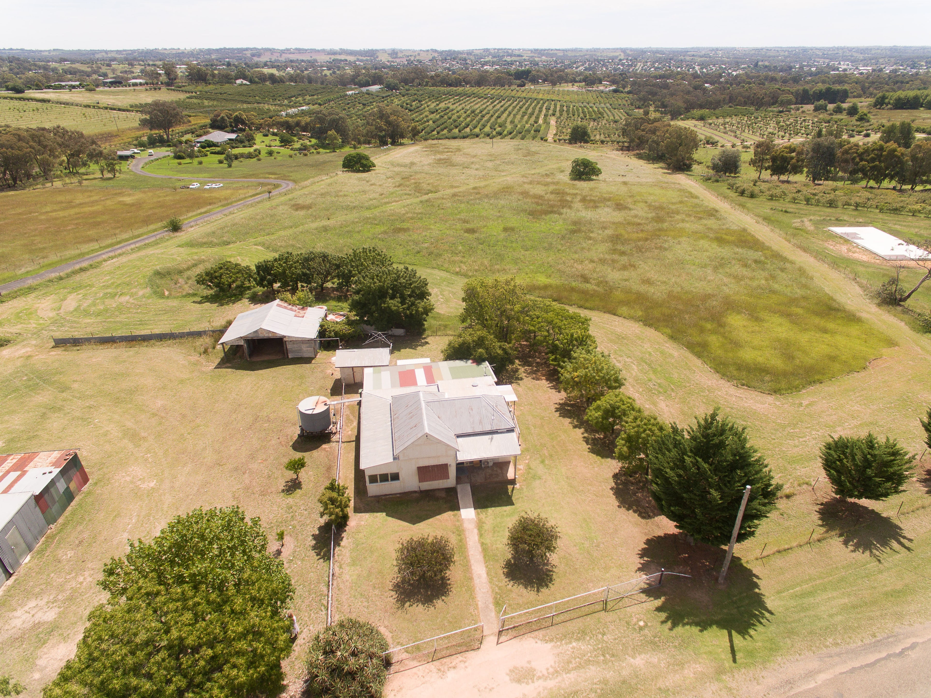 154 CHUMS LANE, YOUNG NSW 2594, 0 Schlafzimmer, 0 Badezimmer, Lifestyle Section