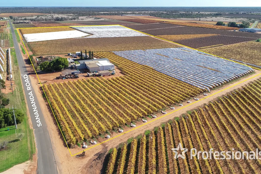 Robinvale Top Class Table Grape Property on 11.74Ha