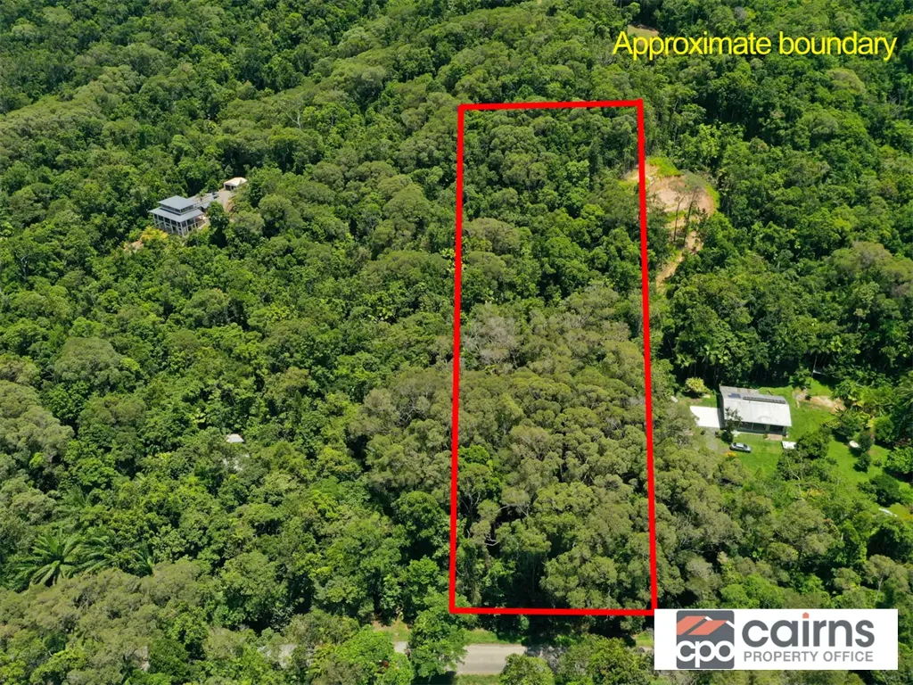 Forest Creek  Daintree  Magic – 2.545 Acres Ready To Build Your Dream