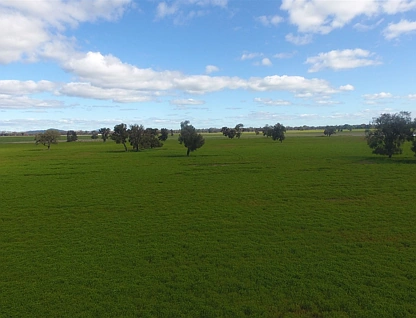 Lot 1 Nobbys Lane, Navarre Via, Stawell, Horsham, 0 غرف, 0 حمامات, Lifestyle Property
