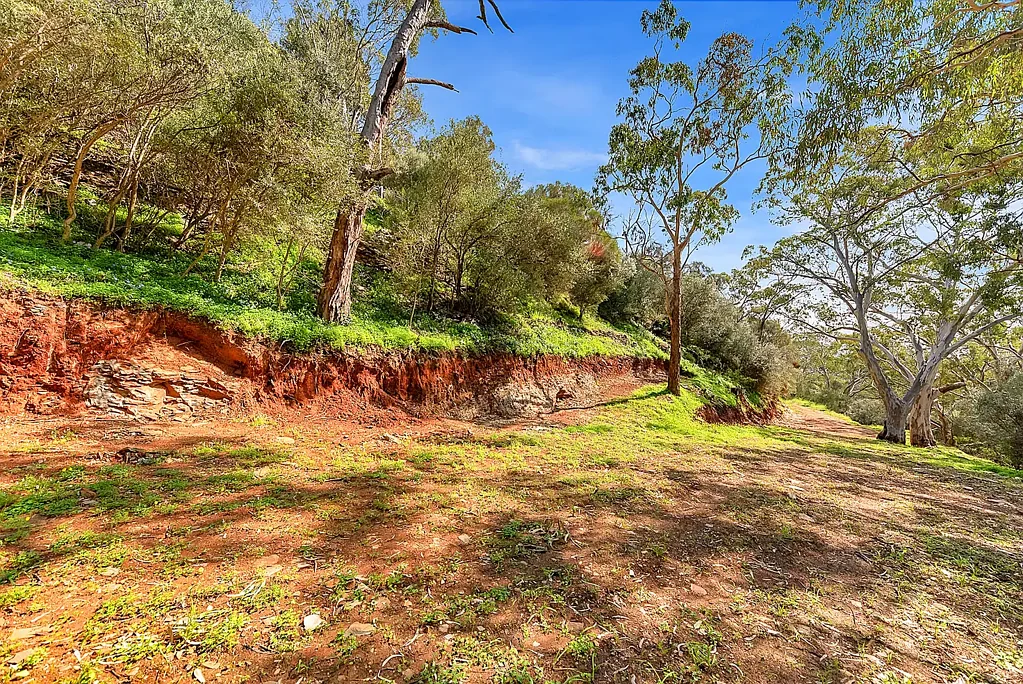 Teringie Rare Vacant Land with Driveway Access and 300 metre road frontage