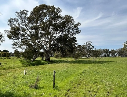 7884 Casterton - Apsley Rd, Apsley, Horsham, 0房, 0浴, Lifestyle Property
