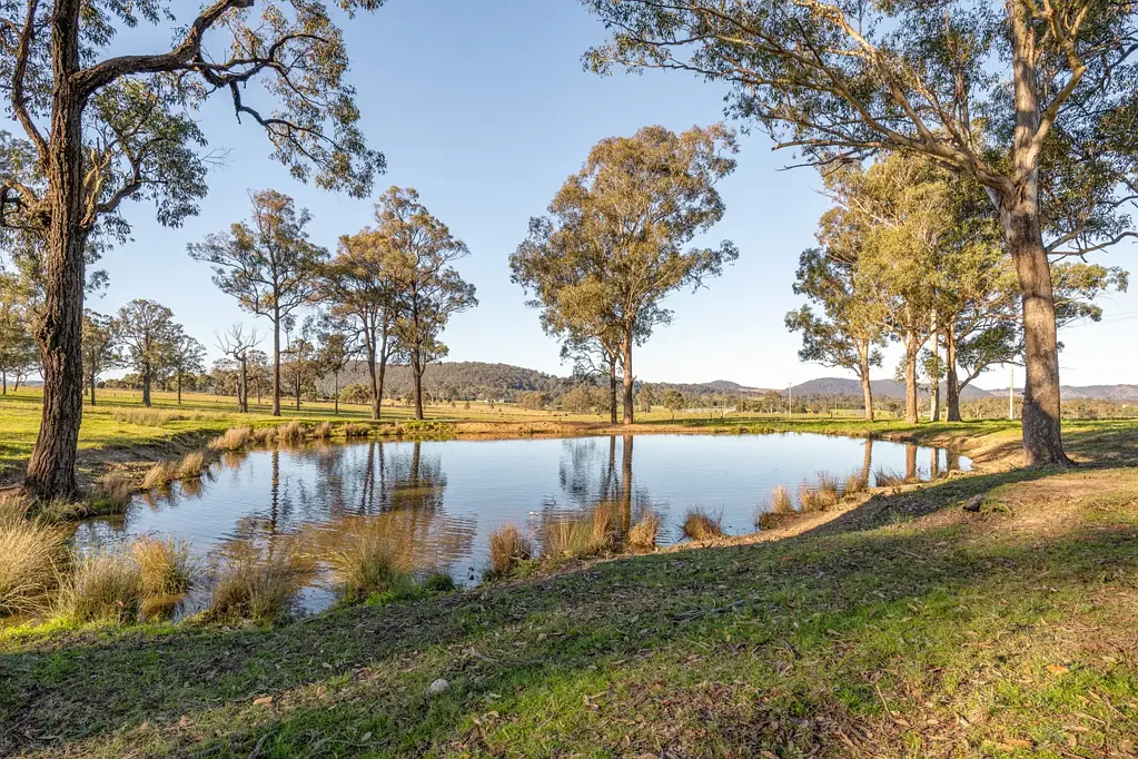 Dungog Your Masterpiece Awaits