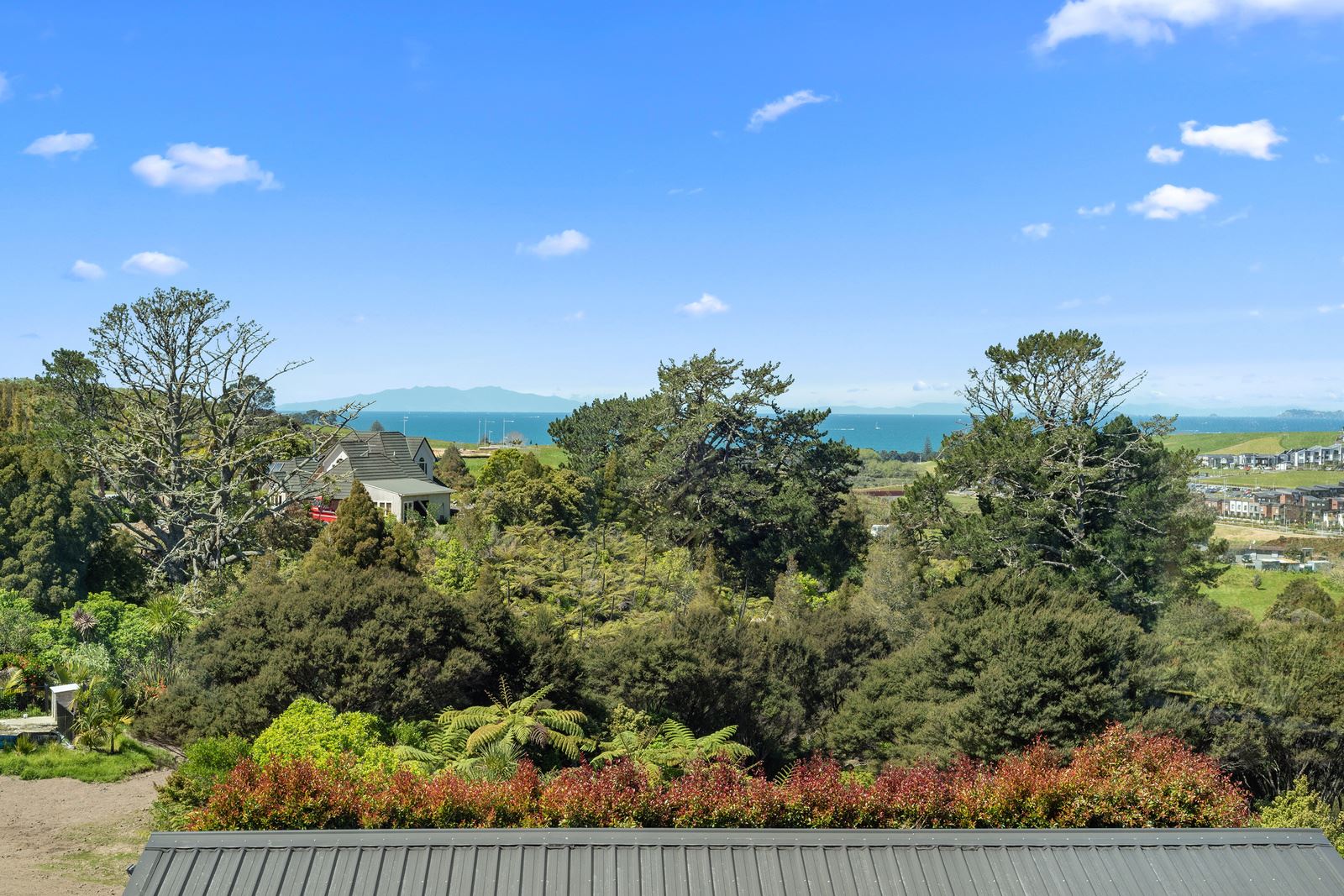 104 Vaughans Road, Long Bay, Auckland - North Shore, 5房, 0浴