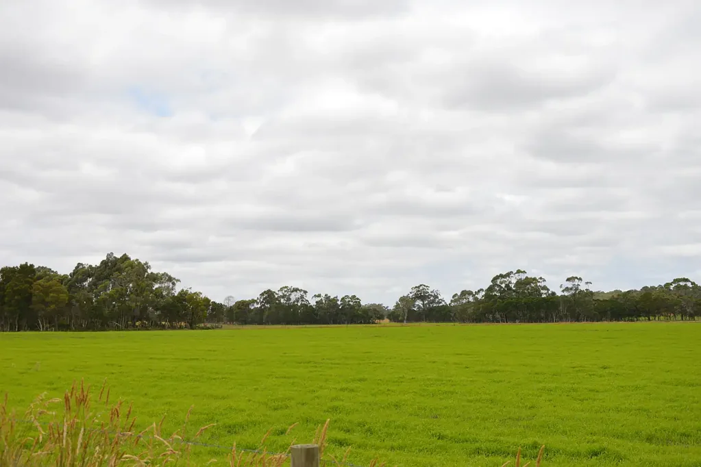 Outtrim  Excellent Primary Production Investment – 91 Acres