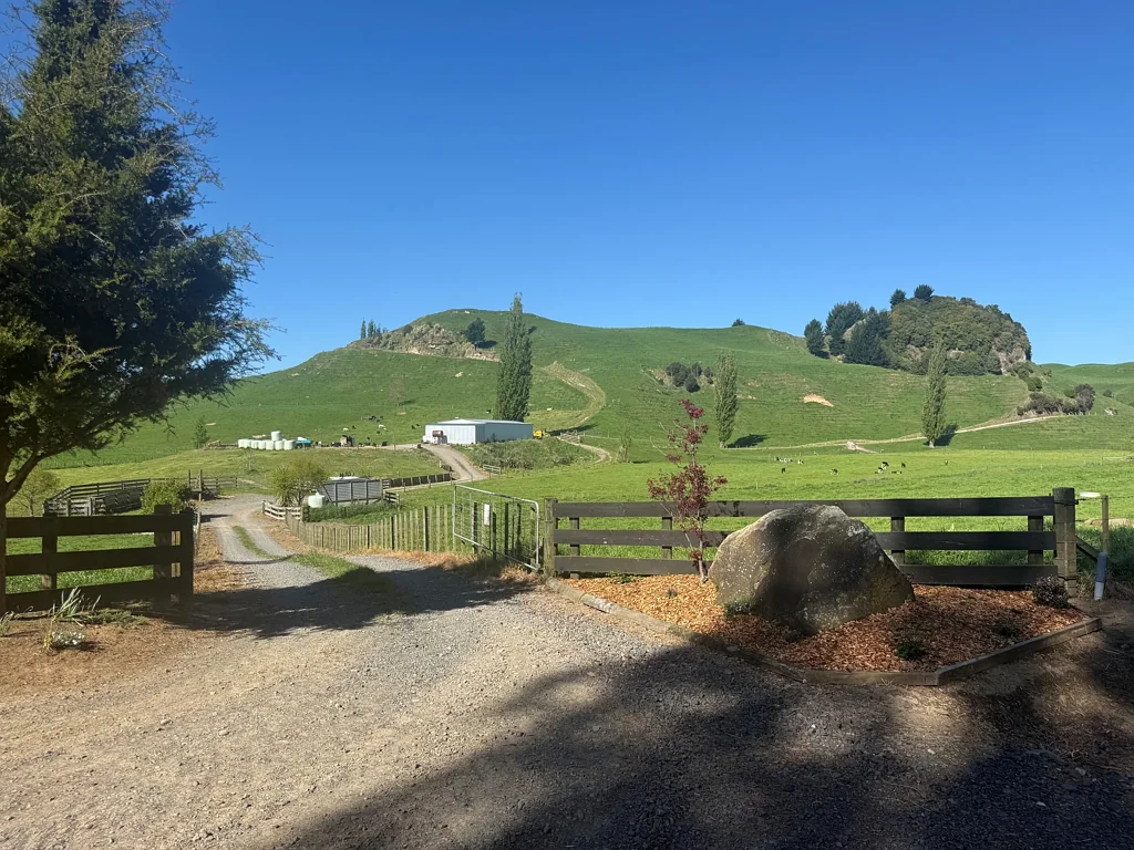 Tirau Farmlet in Desirable Location