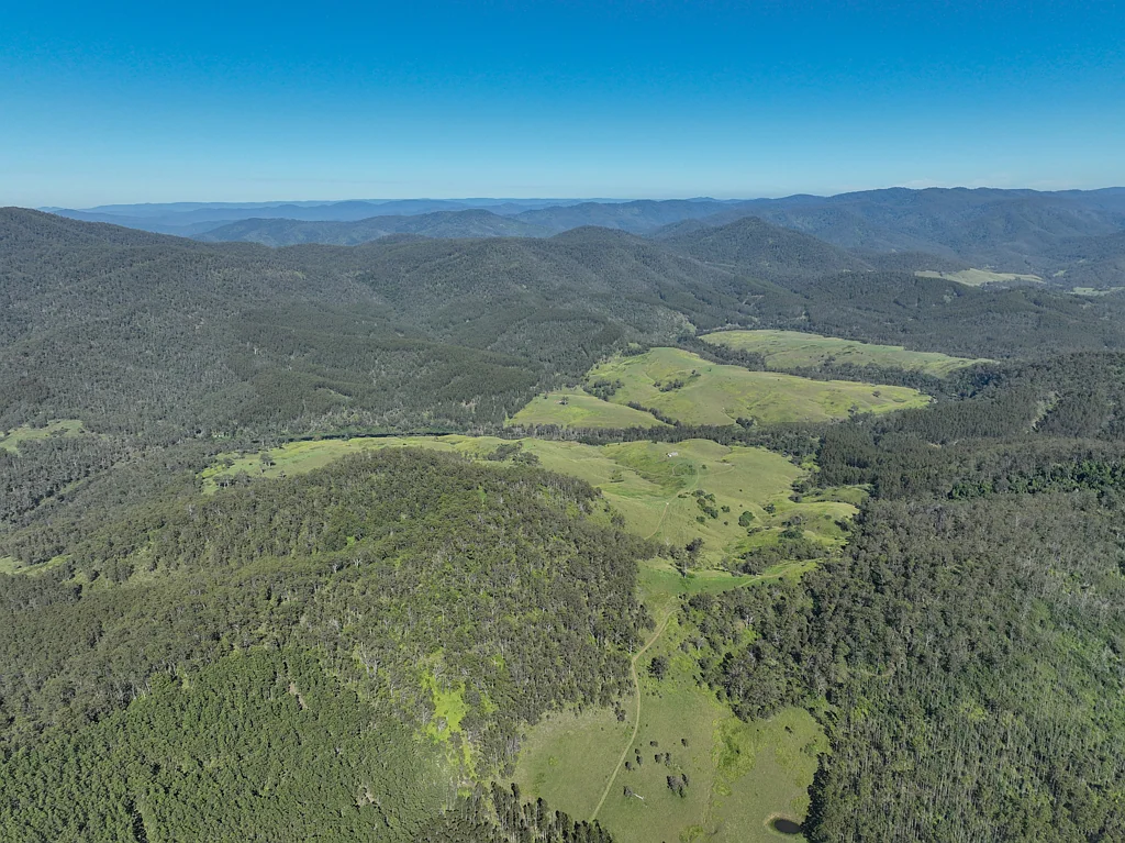 4137A Nowendoc Road, Caffreys Flat, NSW 2424