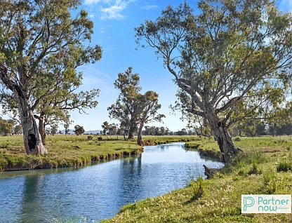 "Terragong" 166 Old Winton Road, Tamworth, Tamworth, 4 Bedrooms, 2 Bathrooms, Lifestyle Property