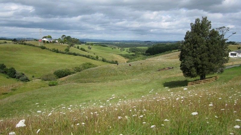 Fraser Road, Pokeno, Waikato, 0 कमरे, 1 बाथरूम