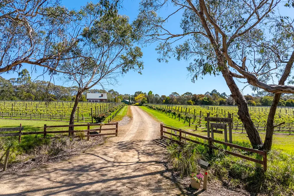 Balnarring  Northway Downs - A Working Vineyard Estate, Offered for the First Time in Decades.