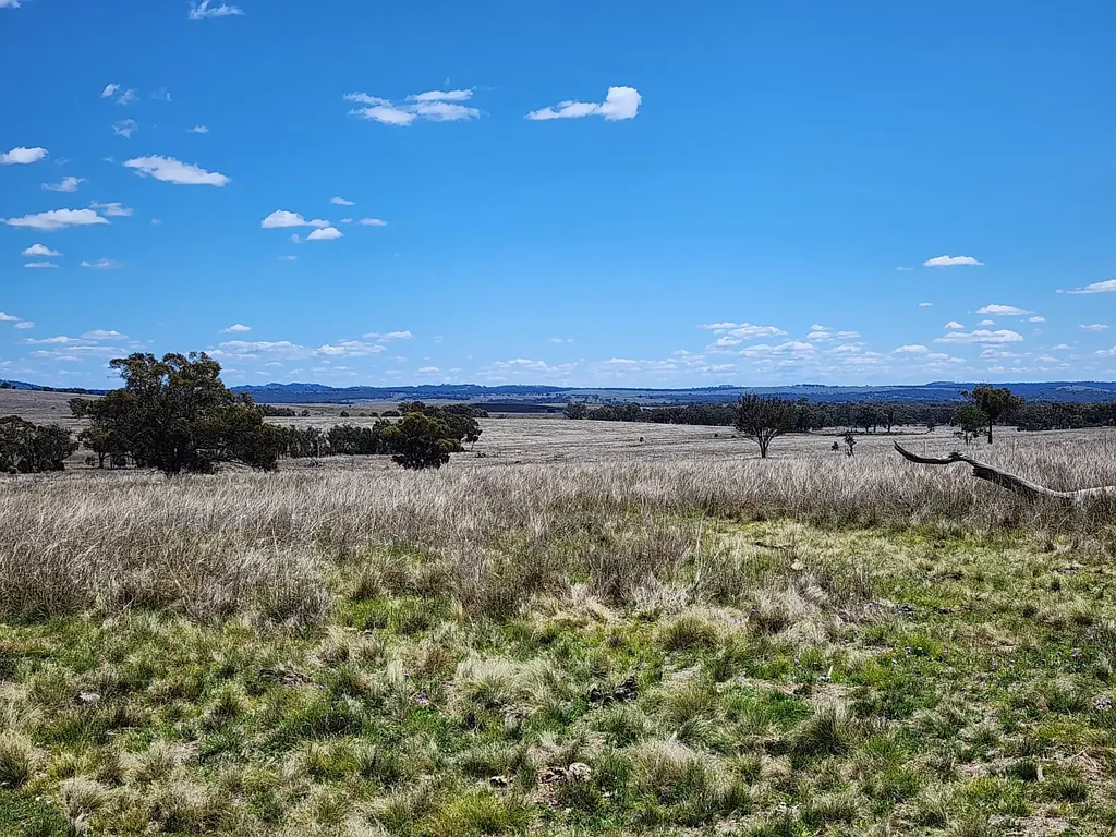 Stanthorpe  RURAL LAND - 25 ACRES