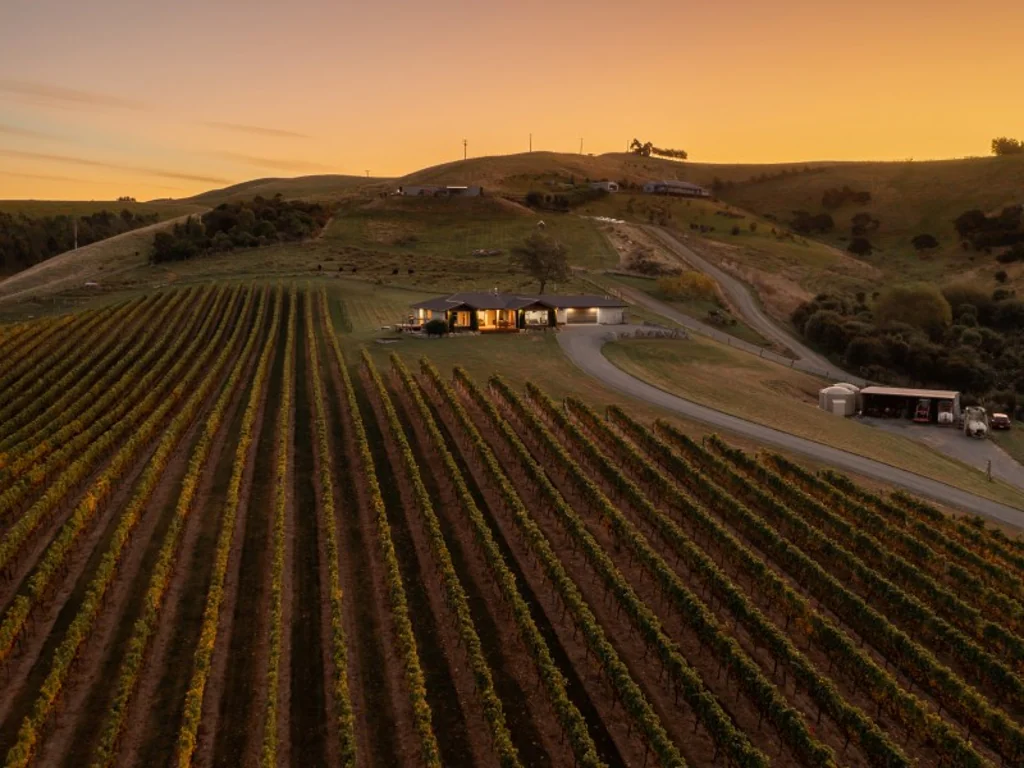 Fairhall Elevated family home and quality pinot noir
