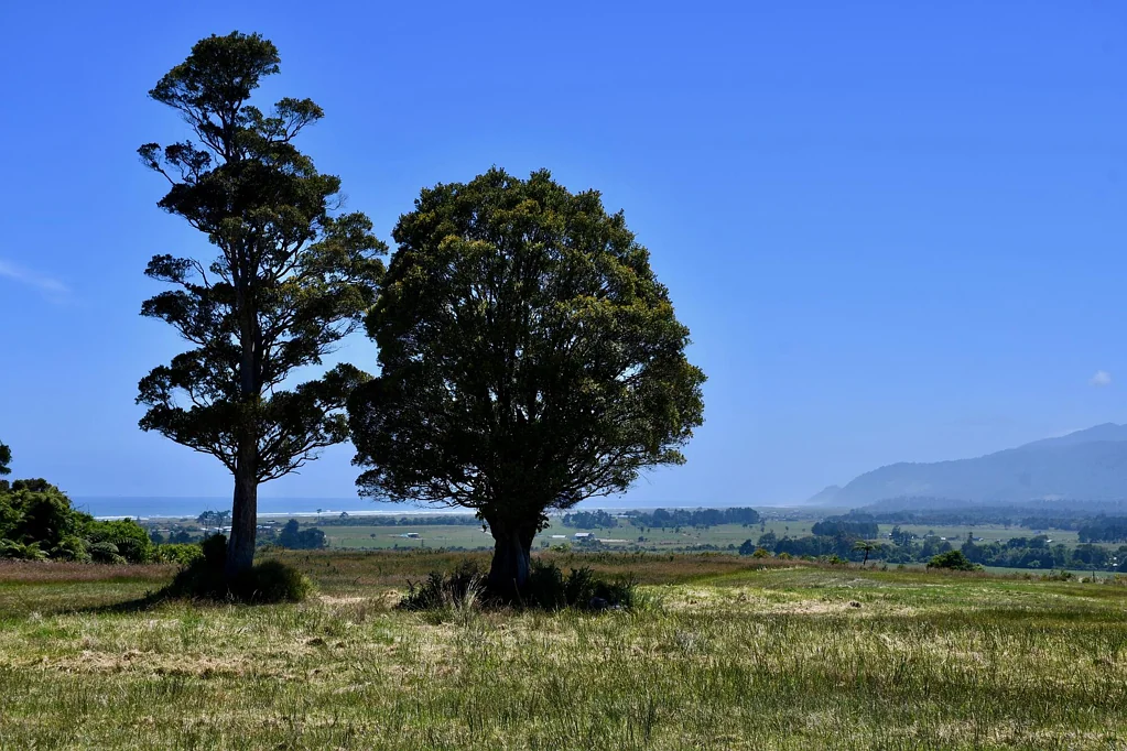Karamea  Sweeping Natural Panorama