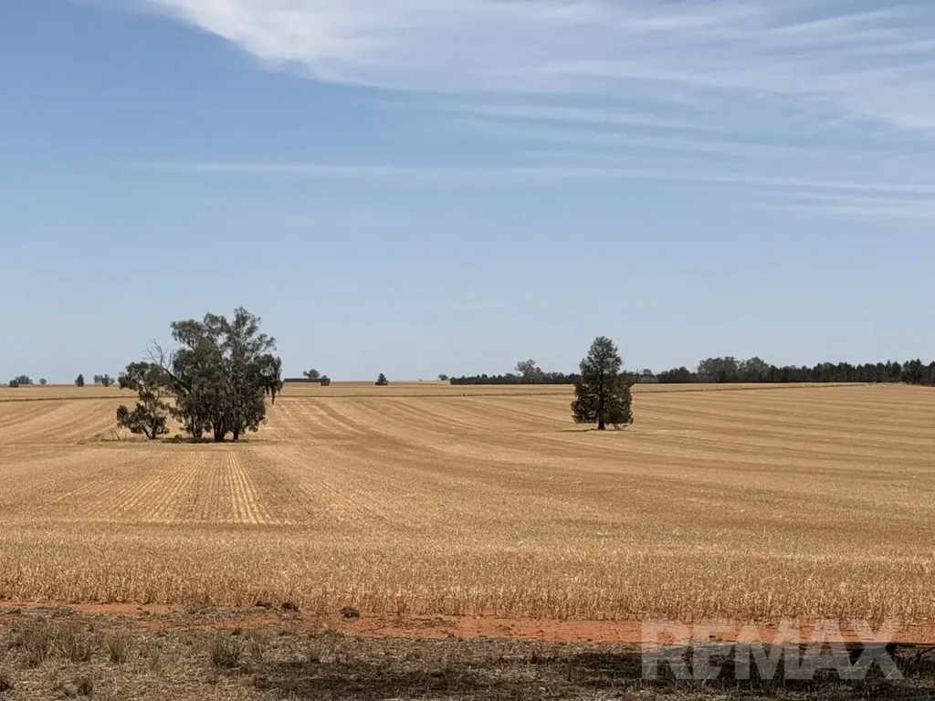 Urana  IN A RURAL COUNTRY ENVIRONMENT