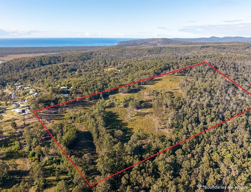 Lot 262 Adelaide Avenue Wonboyn Via, Eden, South Coast, 0房, 0浴, Lifestyle Property