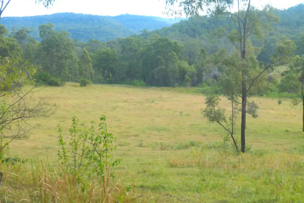 400 Phillips Swamp Road, Busbys Flat, NSW 2469