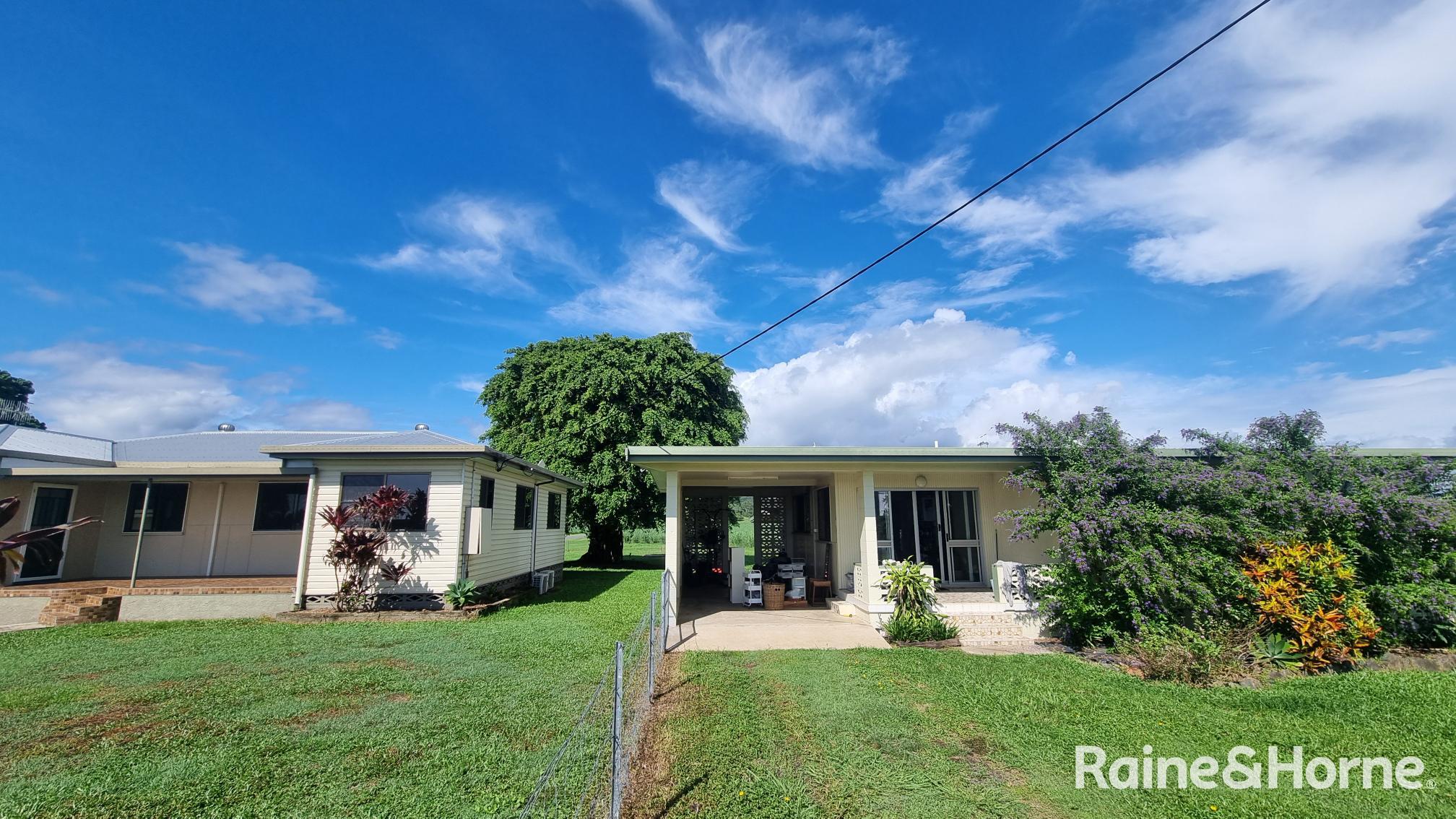 579 MOSSMAN - DAINTREE RD, MIALLO QLD 4873, 0房, 0浴, House