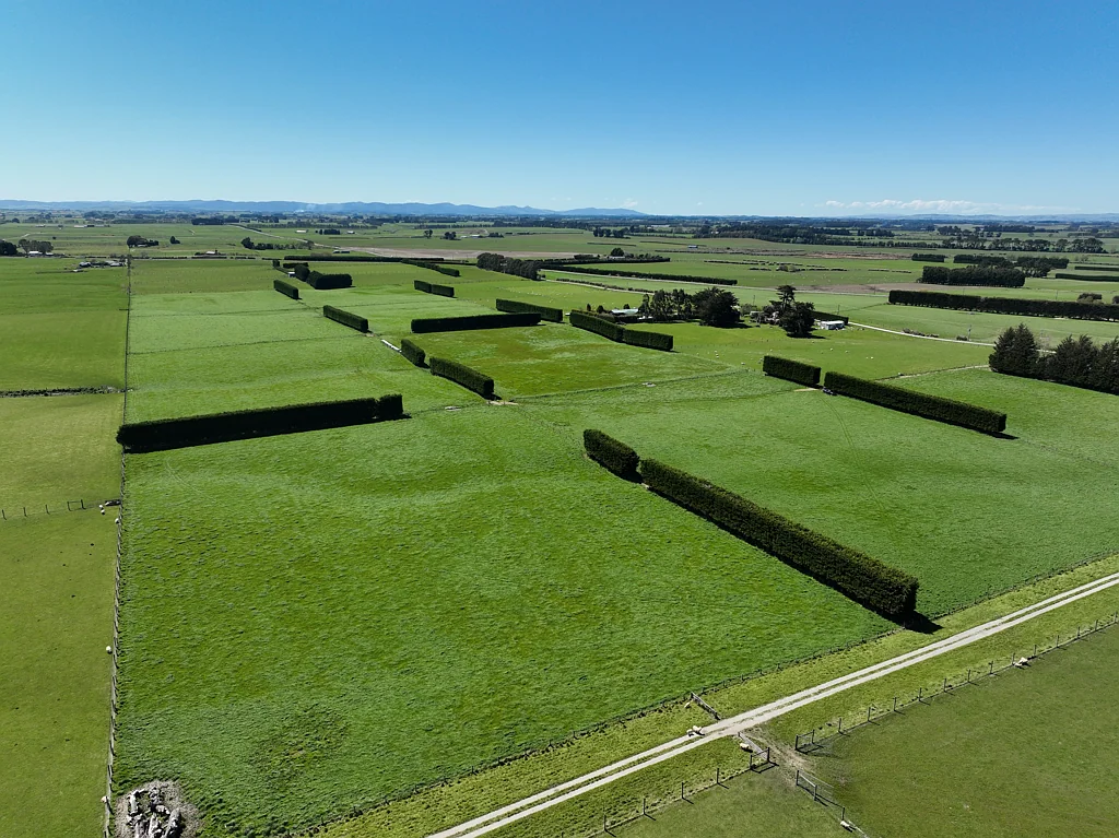 Waimatua Your Next Rural Addition Starts Here